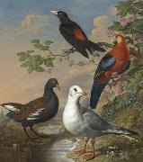 A Moorhen, A Gull, A Scarlet Macaw and Red-Rumped A Cacique By a Stream in a Landscape, Philip Reinagle